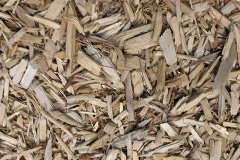 biomass boilers Palmstead